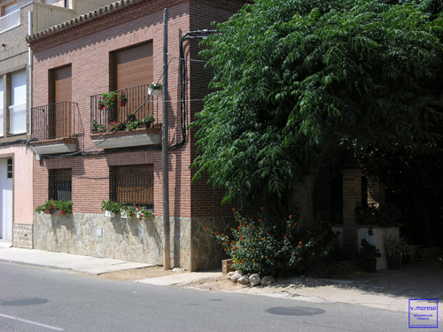 imatge26 de la galeria aillades